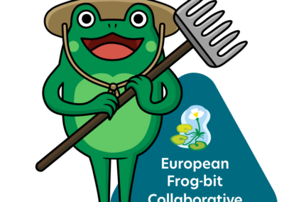 Froggy mascot and EFB Collaborative logo