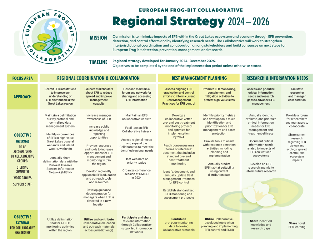 EFB Regional Strategy